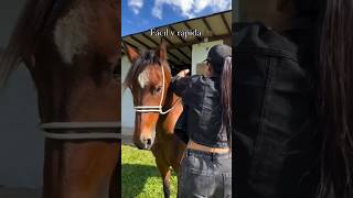 horse shorts shortvideo shortsviral viralshorts viral [upl. by Aratahc43]