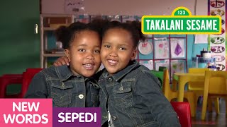 Takalani Sesame Todays Word in Sepedi is Lapa [upl. by Sheepshanks]