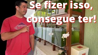 CRIAÇÃO DE PEIXES EM CASA Como é uma pscicultura de LEBISTES de Linhagem GUPPYS MACAÉ Bruno Terra [upl. by Atokad919]