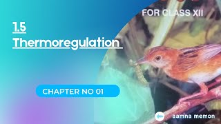 Thermoregulation In Animal  Heat Gain and Heat Loss  Endothermic and Endothermic Animals [upl. by Llennehc]