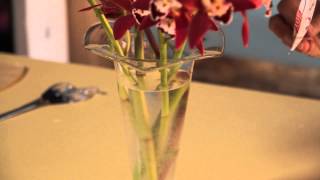 The Care for a Cut Cymbidium Bloom  Gardening With Flowers amp Succulents [upl. by Diahann677]