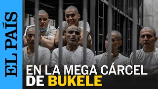 EL SALVADOR  Dentro del CECOT la cárcel de pandilleros de Bukele  EL PAÍS [upl. by Llerrehs]