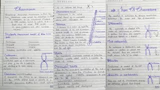 Chromosomes Structure of Chromosomes Types of Chromosomes in hindi [upl. by Svirad]