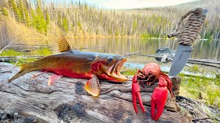 SOLO Mountain Crawfish amp Trout Fishing Catch amp Cook [upl. by Gassman]