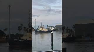 Svitzer Newton tug boat  North Harbour Hunter River Newcastle NSW Australia [upl. by Enyamrahs]