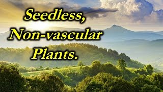 Chap 21  video  Seedless Nonvascular plants [upl. by Ehgit]