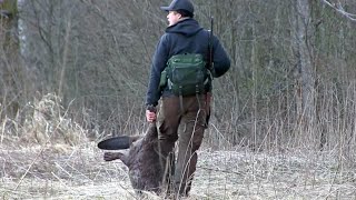 Beverjakt med Thomas Beaver Hunting Bäverjakt Biber Jagd [upl. by Leuqer]