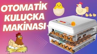 120lik Tam Otomatik Kuluçka Makinası Kurulum ve Tanıtımı [upl. by Joete]