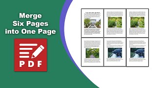 How to turn 6 pages into 1 page in PDFXChange Editor [upl. by Murielle]