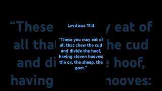 Leviticus 114 leviticus bibleverse jesuschrist [upl. by Feetal943]