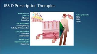 Pharmacologic Approach to IBS Beyond Diet and Fiber [upl. by Dagnah]