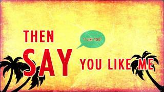 We The Kings Say You Like Me Official Lyric Video [upl. by Farhi]