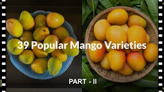 39 Popular varieties of Mango in the world  PART 2  Top mango varieties dugaidana [upl. by Gypsie]