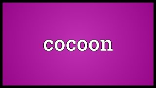 Cocoon Meaning [upl. by Naerb]