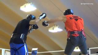 Wladimir Klitschko 1 Minute Sparring Austria 16th April 2013 [upl. by Almap]