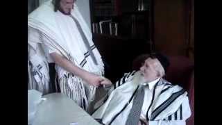 Rabbi Chaim Pinchas Scheinberg on Purim 2012 [upl. by Aikin251]