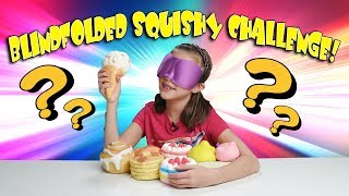 BLINDFOLDED SQUISHIES CHALLENGE My Squishy Collection [upl. by Ggerg]