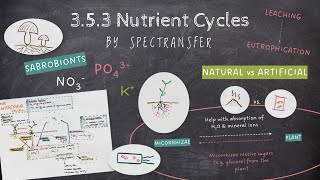 EASY REVISION AQA ALevel Biology 354 Nutrient Cycles [upl. by Izawa351]