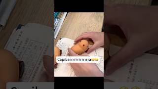 Capibara cochee🤣🤣iboop iBOOP capybara peluches plush regalos gifts capibara dolls [upl. by Haff581]