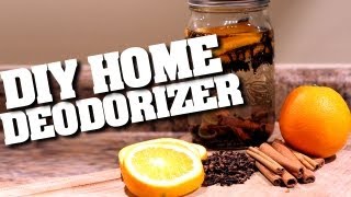 DIY Home Deodorizers How to Make a Home Deodorizer amp Keep Your Home Clean amp Fresh Clean My Space [upl. by Felipe]