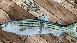 Jointed Swim Baits and Glide Baits Water Action Shad and Striper [upl. by Zelten]