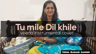 Tumile Dil khile  Kumar Sanu  Veena instrumental  cover  Veena Ranjani mahesh  Nagarjuna [upl. by Aerdnwahs661]