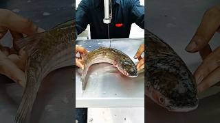 Watch the video of cutting fish in a modern way with the new systemshorts fishlaver short [upl. by Norse]