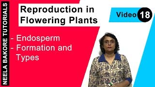 Reproduction in Flowering Plants  NEET  Endosperm  Formation and Types  Neela Bakore Tutorials [upl. by Daniella]