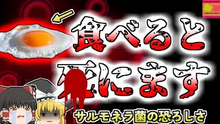 【2010年秋田】実は気を付けなければいけない卵の保管方法 真夏のキャンプ旅行をしていた一家を襲った地獄・・・「サルモネラ菌食中毒」【ゆっくり解説】 [upl. by Aifoz]