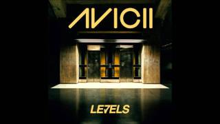 Avicii Levels Audio [upl. by Sherill453]