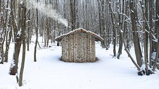 Bushcraft Camping in a Survival Shelter Wilderness Cooking in the Forest Solo Wild Camping [upl. by Sillaw619]