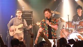 アロエ  Skip Beats 騒がしい春の戯れ Live at 246GABU2024421 [upl. by Gracye]