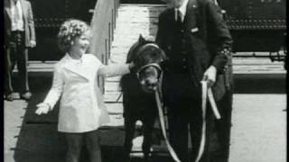 Movietone News 1936 Dick Powell Joan Blondell Shirley Temple [upl. by Assirrem]