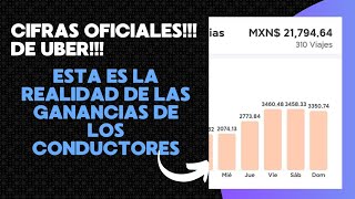 CIFRAS OFICIALES DE UBER La realidad de los conductores Conviene trabajar en UBER 2024 [upl. by Groos950]