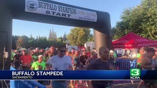 Buffalo Stampede takes place in Sacramento [upl. by Vandyke]