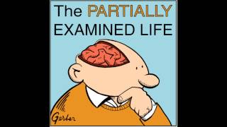 Partially Examined Life podcast  The Federalist Papers [upl. by Boggers849]