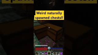 Weird double chest minecraft gaming rlcraft rlcraftv2 rlcraftdregora minecraftgameplay [upl. by Mozza]