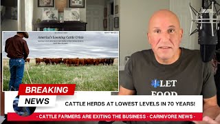 Americas Looming Cattle Crisis amp My Thoughts On What We Can Do About It Carnivore News [upl. by Mide]