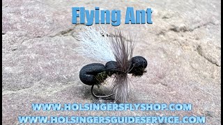 Flying Ant Holsingers Fly Shop Episode 528 [upl. by Durrett342]