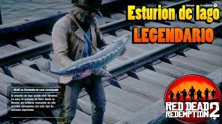 Esturion de lago legendario  Guia pesca RED DEAD REDEMPTION 2 [upl. by Leiuqeze]