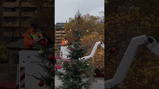 Der Weihnachtsbaum auf der Fürther Freiheit wird geschmückt [upl. by Osgood]