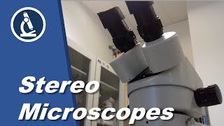 🔬 070  Stereo microscope teardown  Microscopy [upl. by Nara]