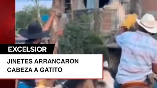 Van contra jinetes que arrancaron cabeza a gato en festejo patronal [upl. by Anyg476]