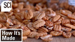 How Pecans Are Manufactured  How It’s Made [upl. by Ardnaskela]