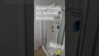 Budget DIY bathroom reno Everything we fixed🥴 diy renovationseries homedesign waterdamage [upl. by Dreher]