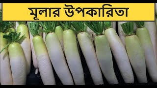 মুলার পুষ্টিগুণ ও উপকারিতা। Health Benefits Of Radish [upl. by Gonzalo]