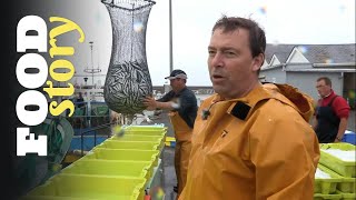 Ces marins repèrent les sardines à lœil nu [upl. by Doerrer]