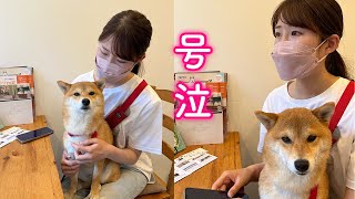 動物と話せる人に会って愛犬の気持ちを聞いたら驚きの連続でした [upl. by Thedrick]