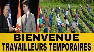 SANS LES TRAVAILLEURS TEMPORAIRES’ES ENTREPRISES ONT DU MAL À FONCTIONNER AU QUÉBEC ET AU CANADA [upl. by Claus]