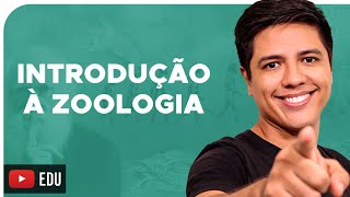 ZOOLOGIA  CONCEITOS BÁSICOS  Reino Animalia  Prof Kennedy Ramos [upl. by Ahswat]